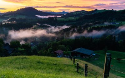 Animal agriculture is the second largest contributor to human-made greenhouse gas (GHG) emissions.