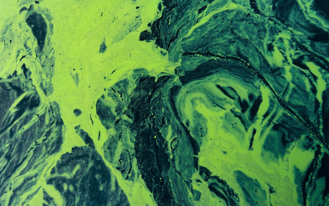 Scientists warn of ‘phosphogeddon’ as critical fertiliser shortages loom