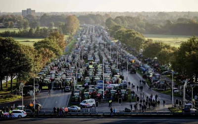 Nitrogen wars: the Dutch farmers’ revolt that turned a nation upside-down